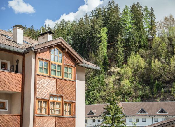 Furmescer Alpin Home