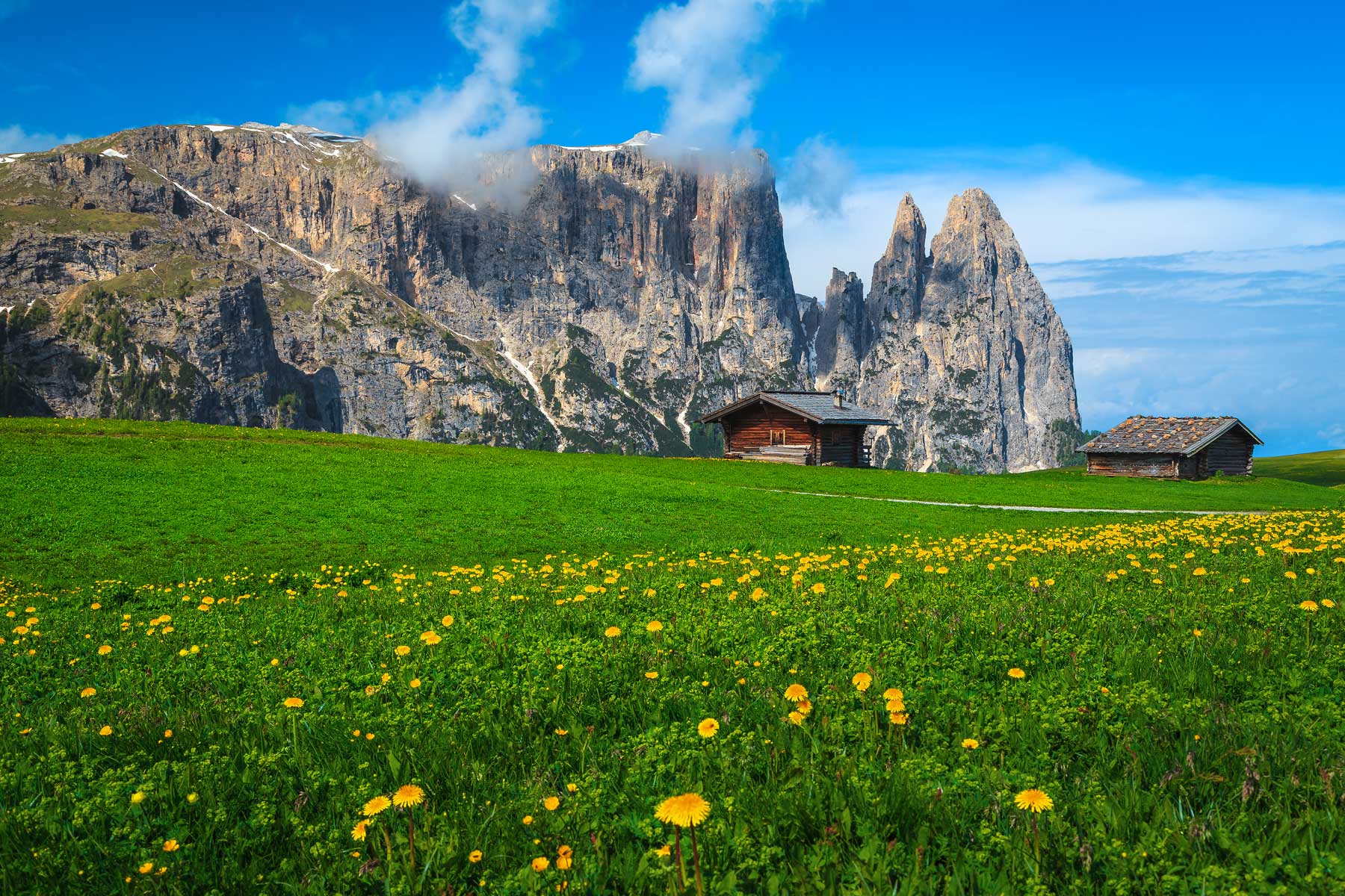 alpe-di-siusi