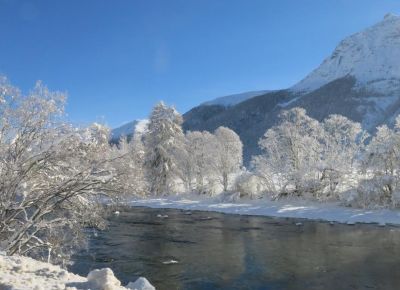 Gasthof Haller