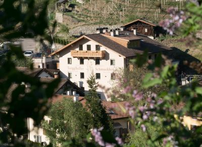 Hotel & Residence Schmuckhof