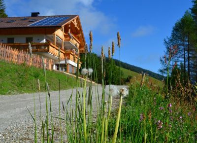 Apartments Oberpichlhof