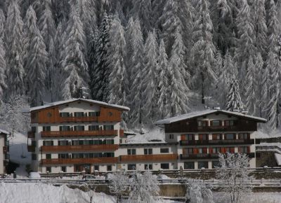 Hotel Des Alpes