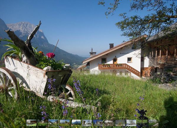 Apartments Schildberghof